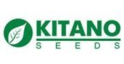 Kitano Seeds