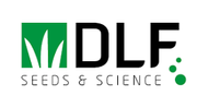 DLF Trifolium